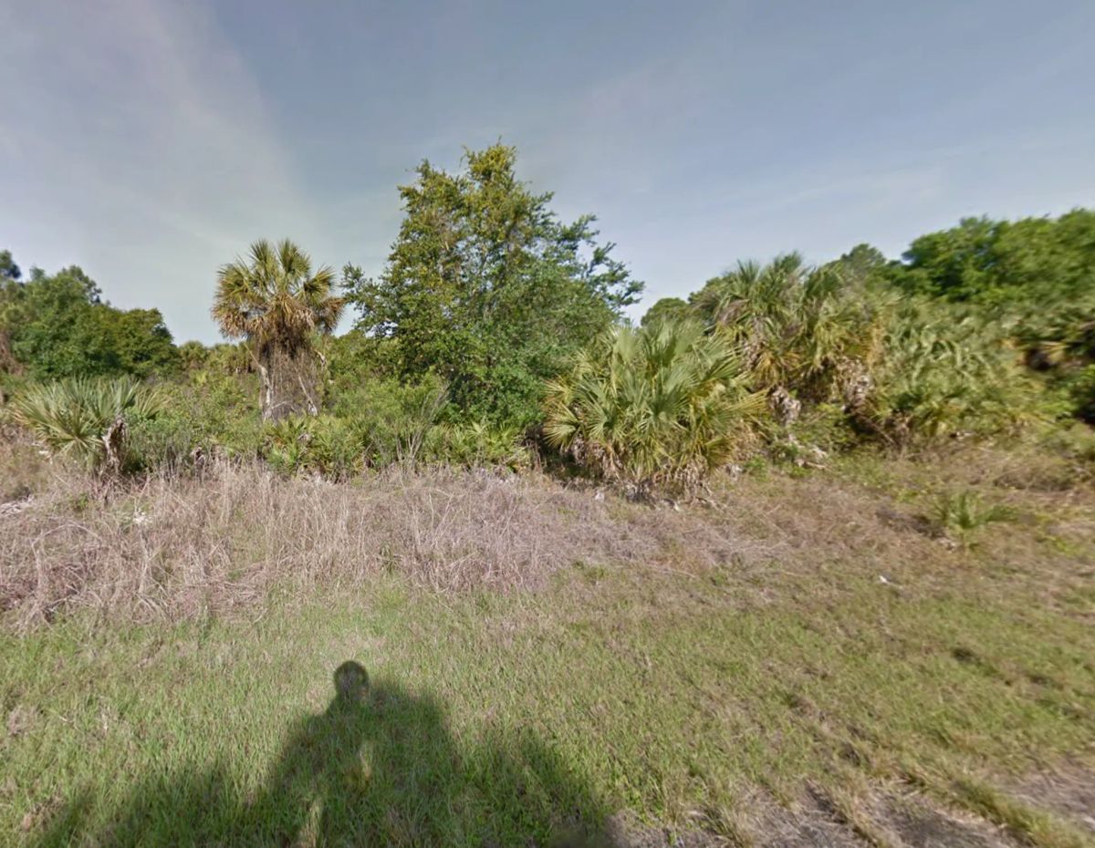 Residential, Level lot in Undeveloped North Port, FL - Image 2