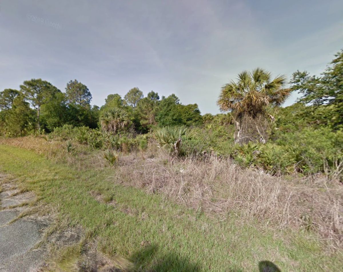 Residential, Level lot in Undeveloped North Port, FL - Image 3