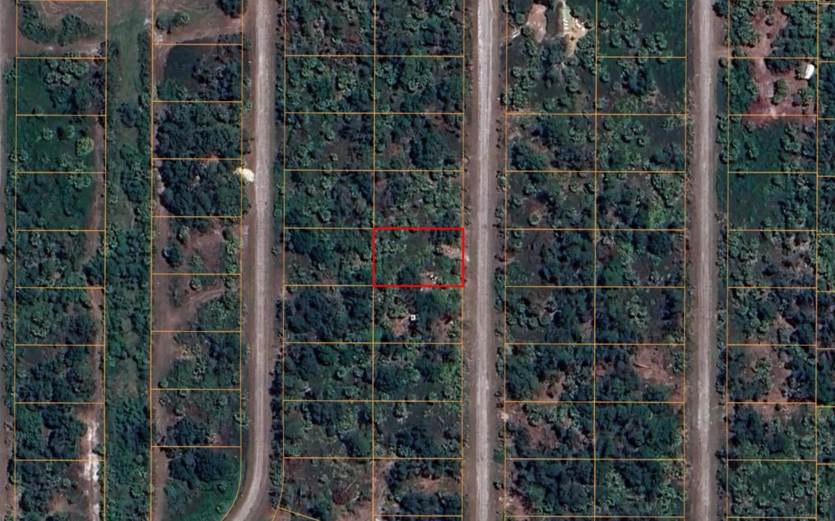 Decorative background for Residential, Level lot in Undeveloped North Port, FL image 5
