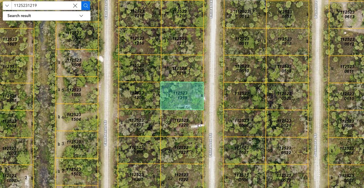 Decorative background for Residential, Level lot in Undeveloped North Port, FL image 6