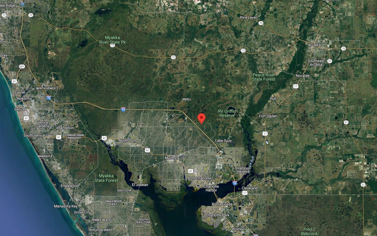 Decorative background for Residential, Level lot in Undeveloped North Port, FL image 7
