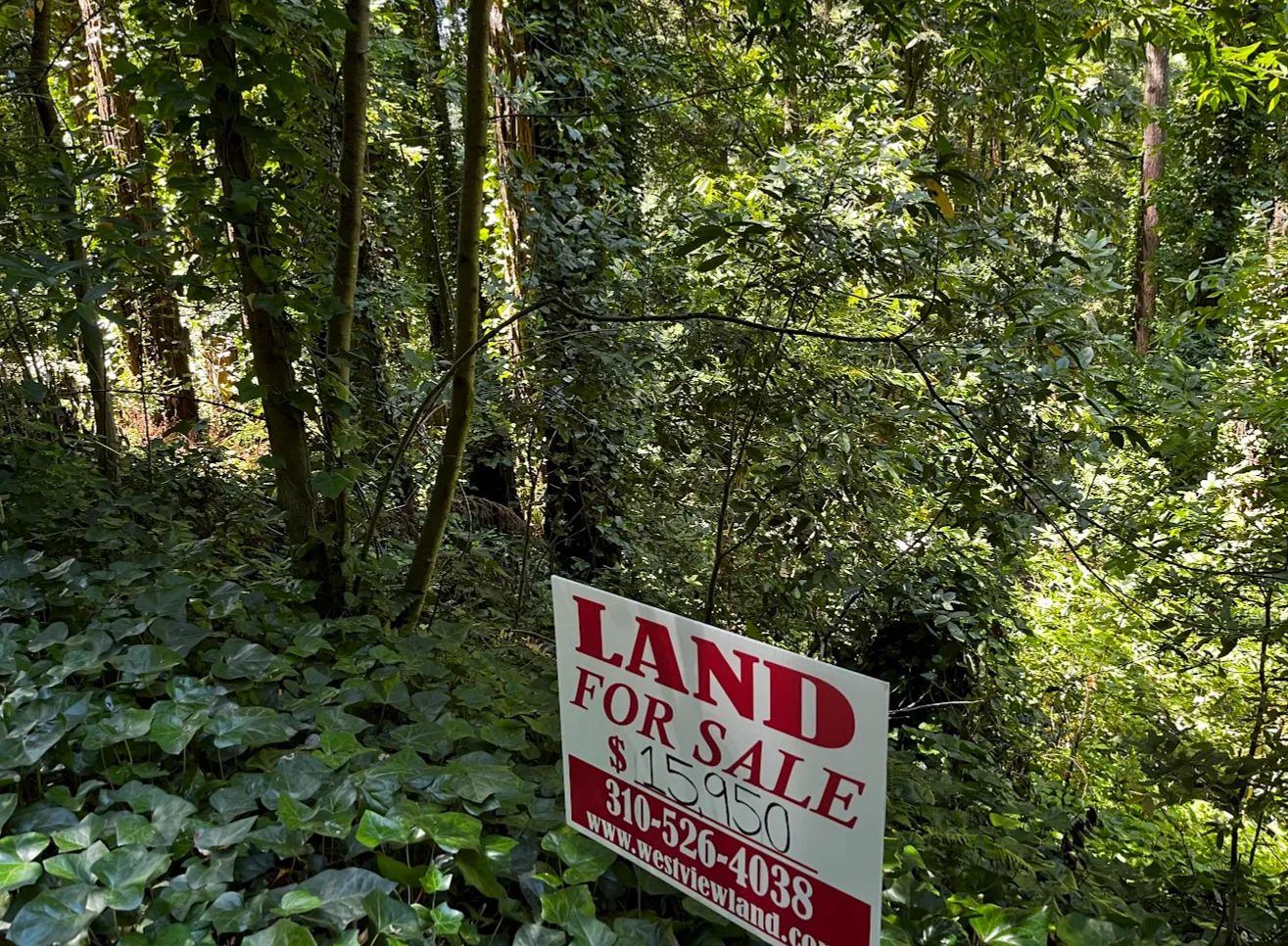 .10 Acres For Sale In Monte Rio, CA in Sonoma County, CA
