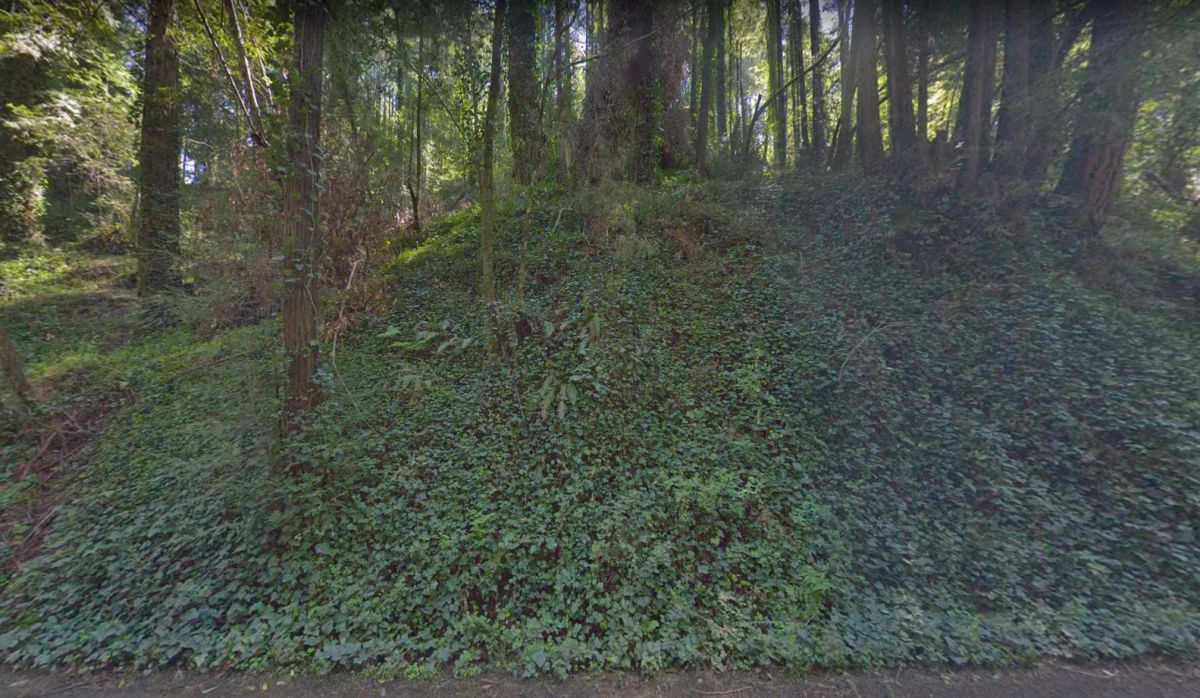 Decorative background for .10 Acres For Sale In Monte Rio, CA image 7