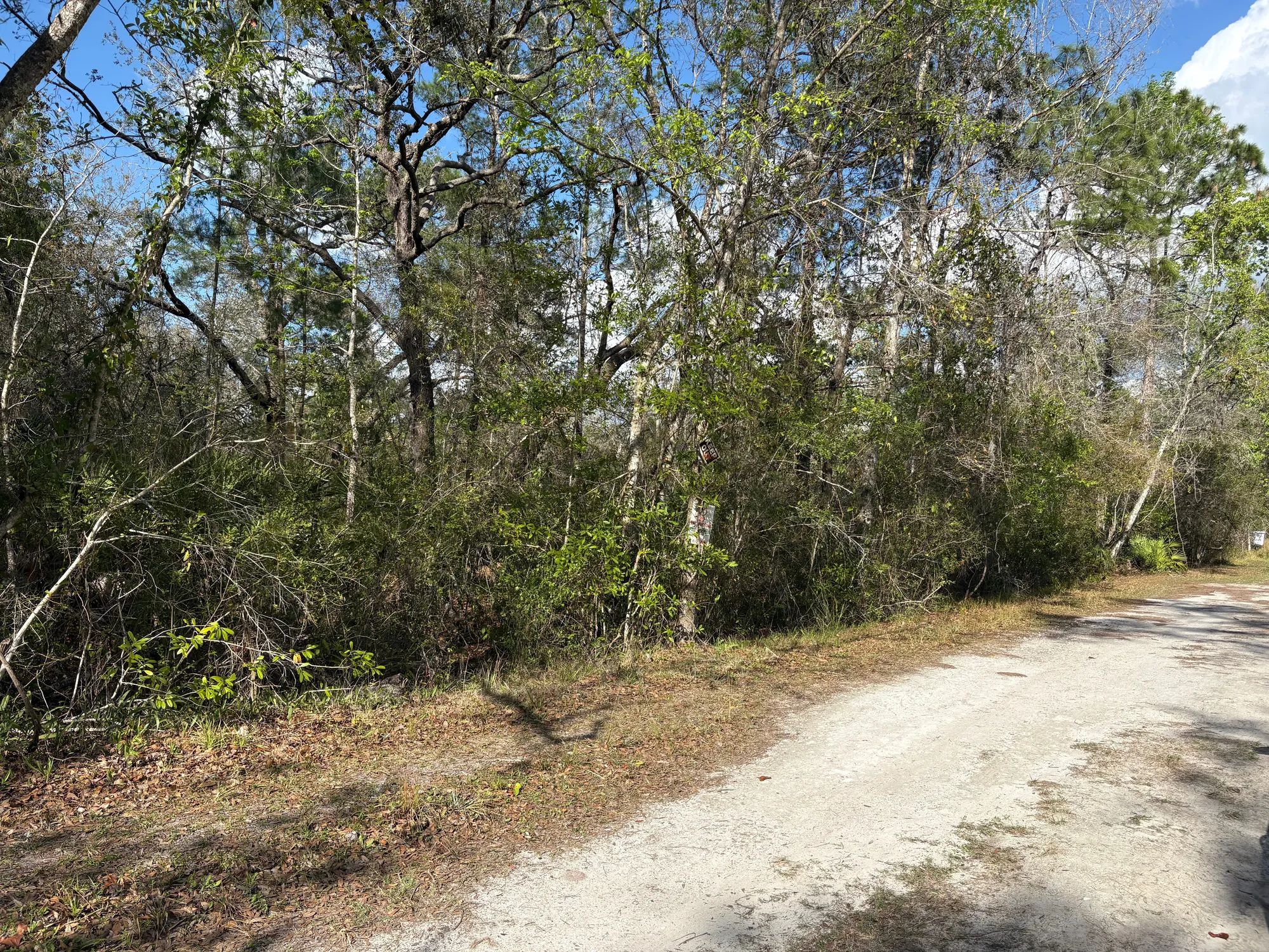 Level Vacant Agricultural Residential Lot in New Port Richey, FL