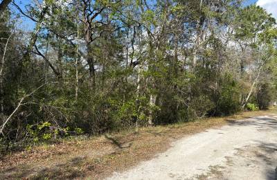 Level Vacant Agricultural Residential Lot in New Port Richey, FL