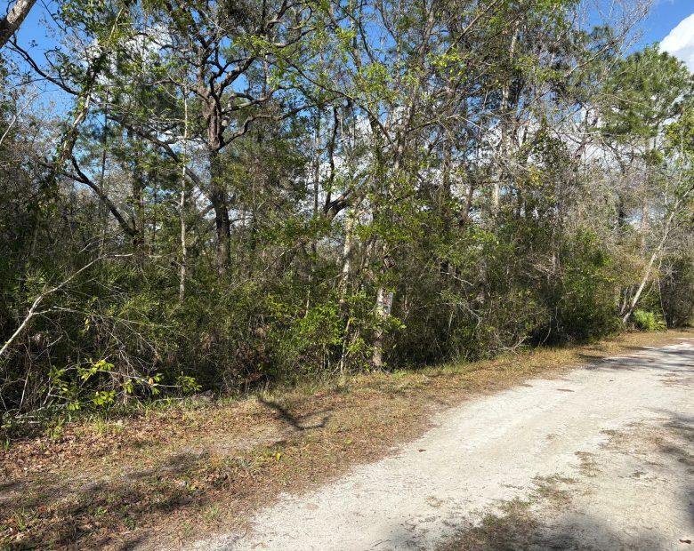 Level Vacant Agricultural Residential Lot in New Port Richey, FL in Pasco County, FL