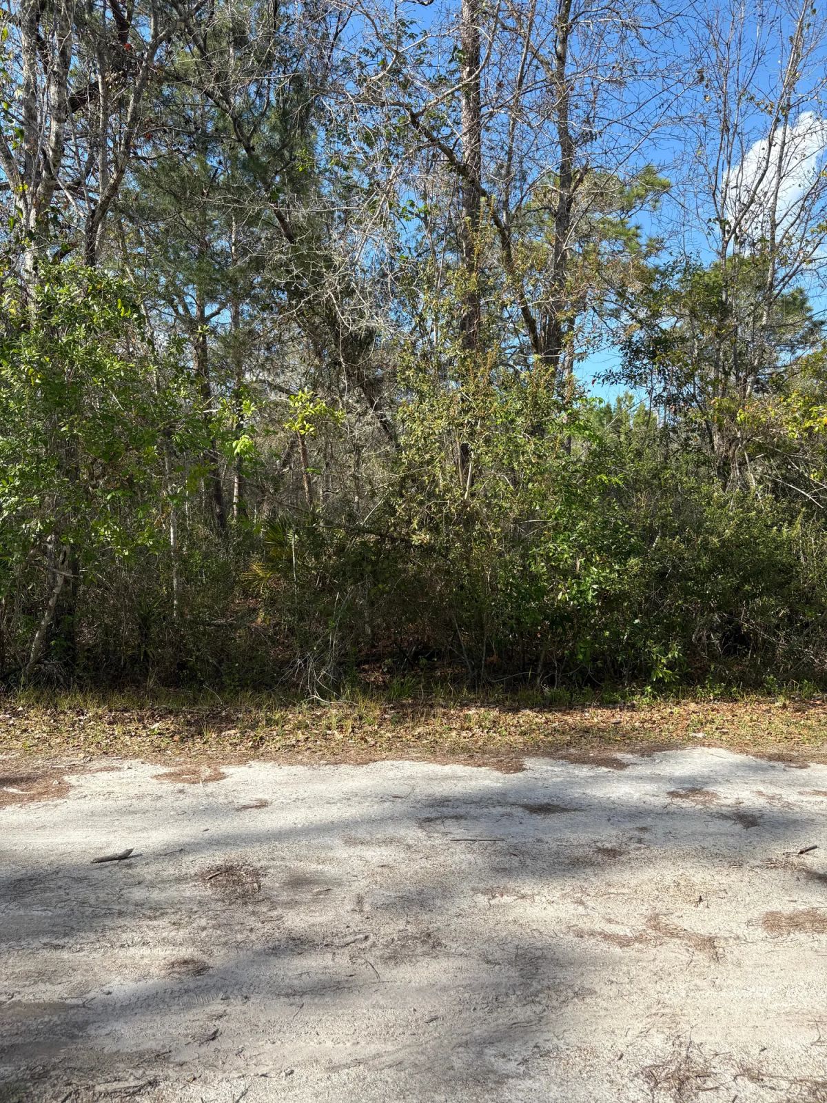 Level Vacant Agricultural Residential Lot in New Port Richey, FL - Image 2