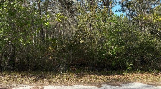 Level Vacant Agricultural Residential Lot in New Port Richey, FL in Pasco County, FL