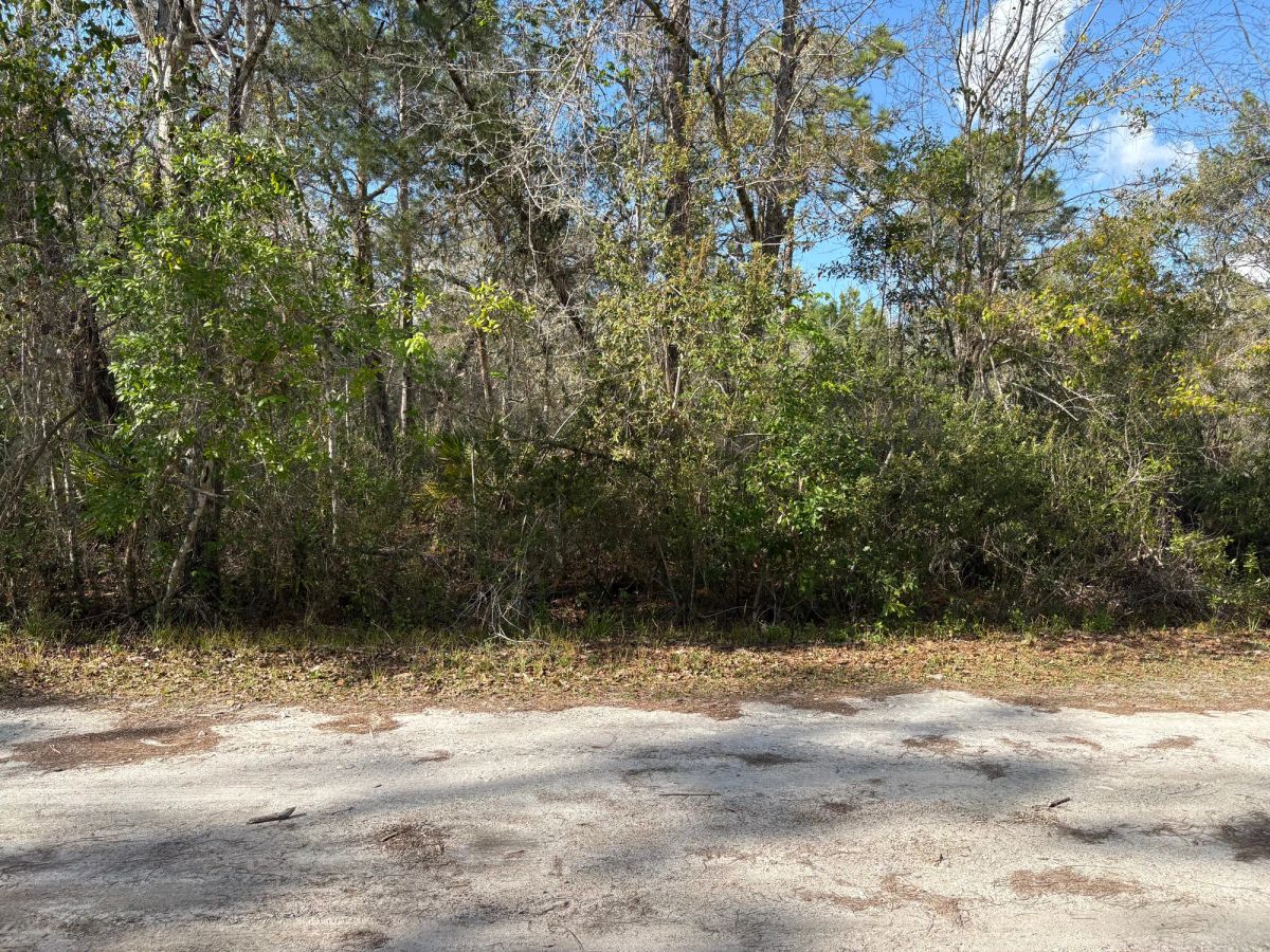 Level Vacant Agricultural Residential Lot in New Port Richey, FL - Image 3