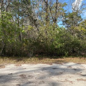 Level Vacant Agricultural Residential Lot in New Port Richey, FL in Pasco County, FL