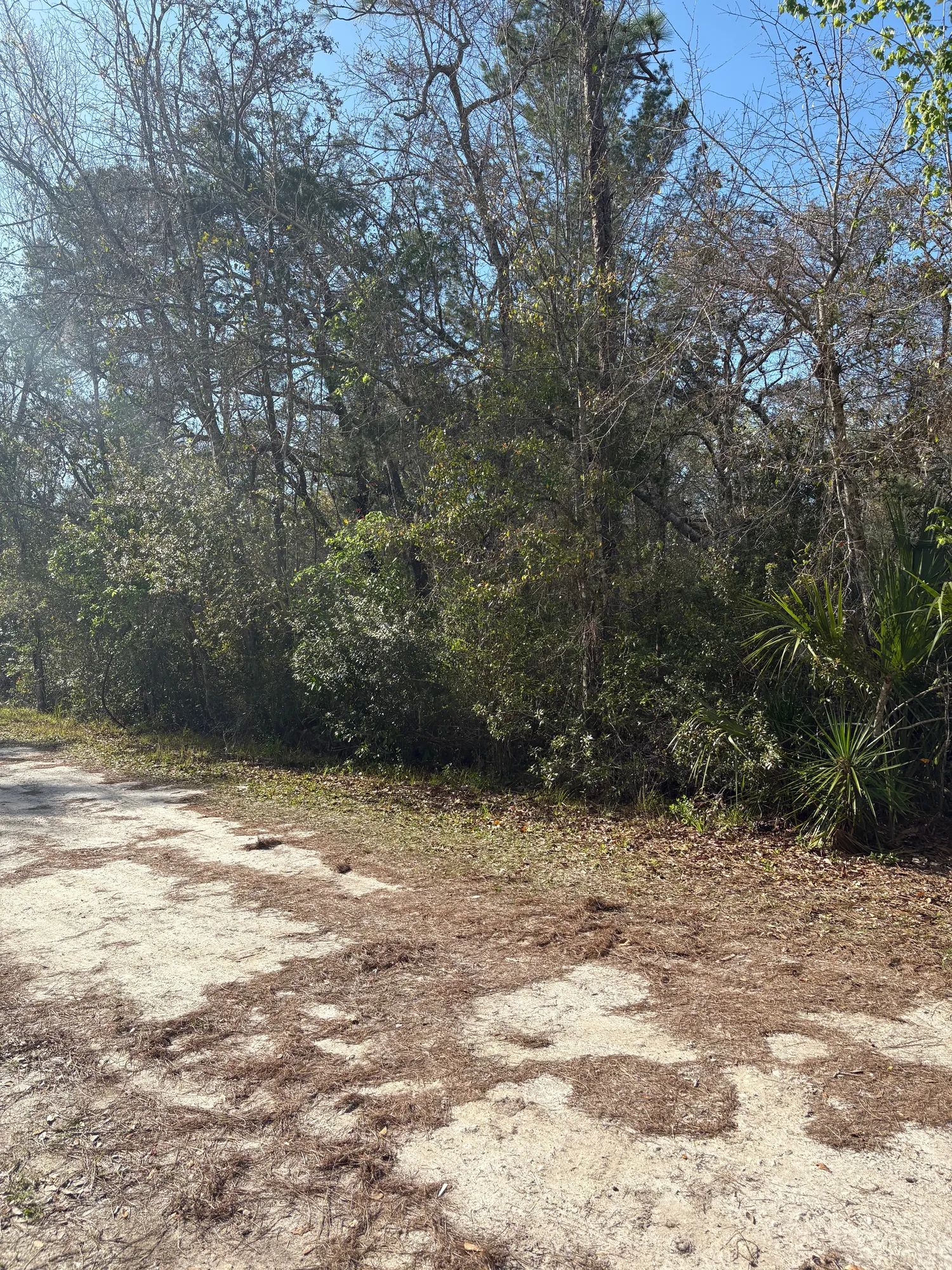 Level Vacant Agricultural Residential Lot in New Port Richey, FL in Pasco County, FL