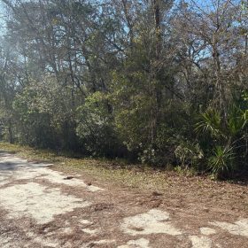 Level Vacant Agricultural Residential Lot in New Port Richey, FL in Pasco County, FL