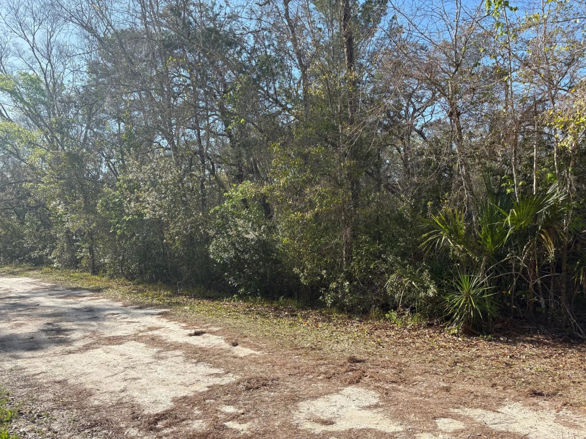 Decorative background for Level Vacant Agricultural Residential Lot in New Port Richey, FL image 5