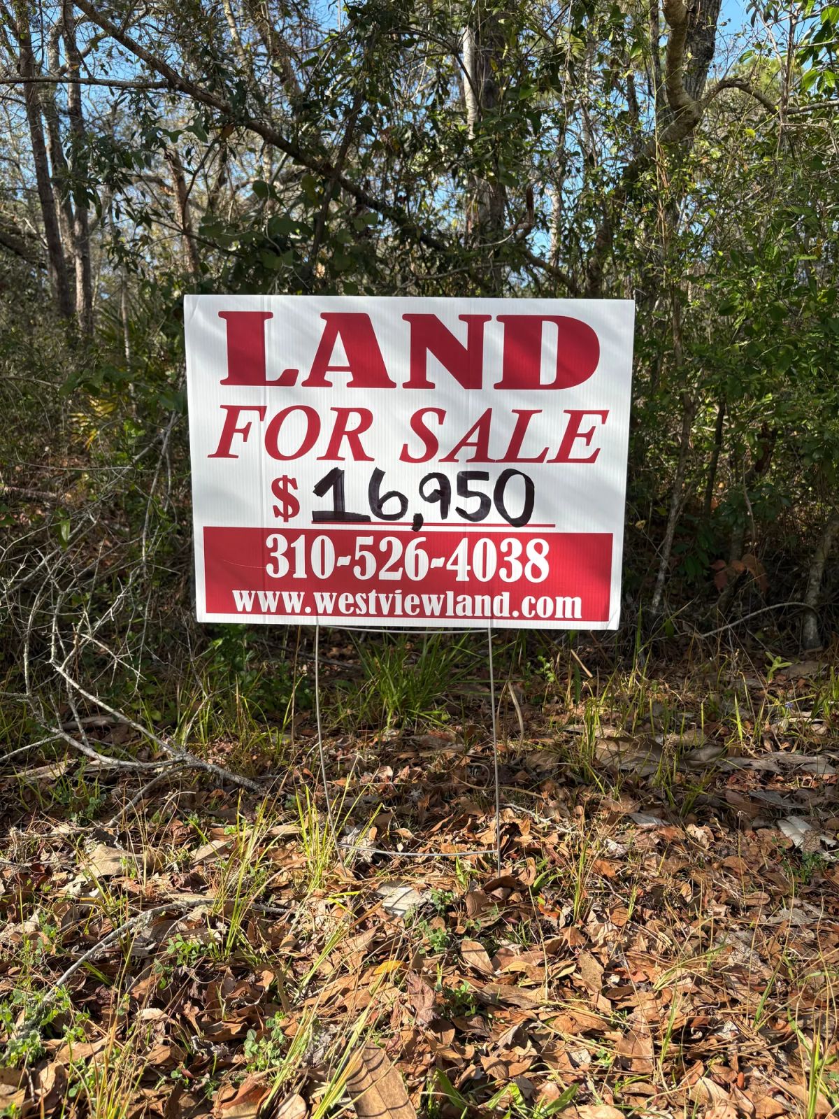 Decorative background for Level Vacant Agricultural Residential Lot in New Port Richey, FL image 6