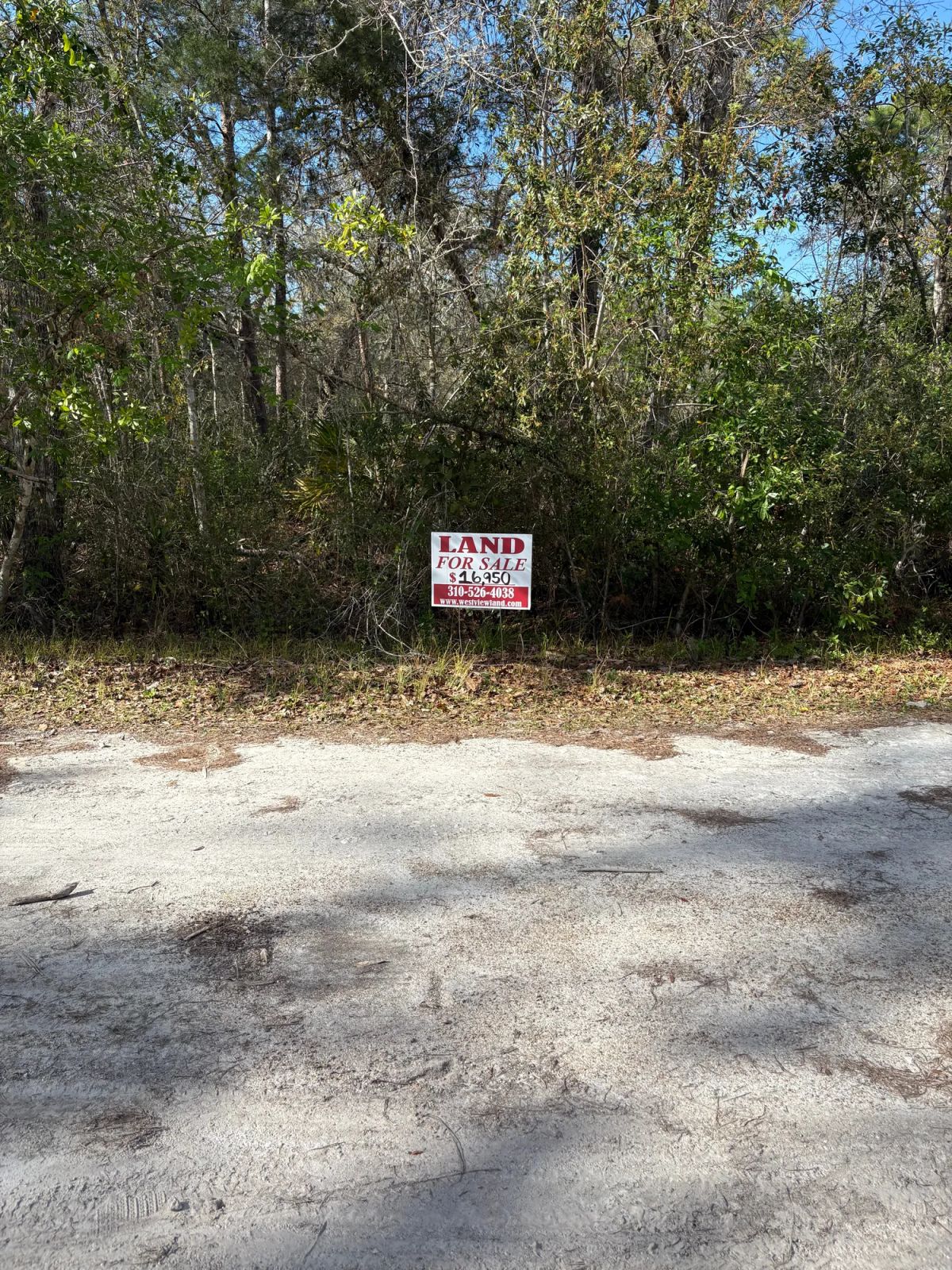 Decorative background for Level Vacant Agricultural Residential Lot in New Port Richey, FL image 7