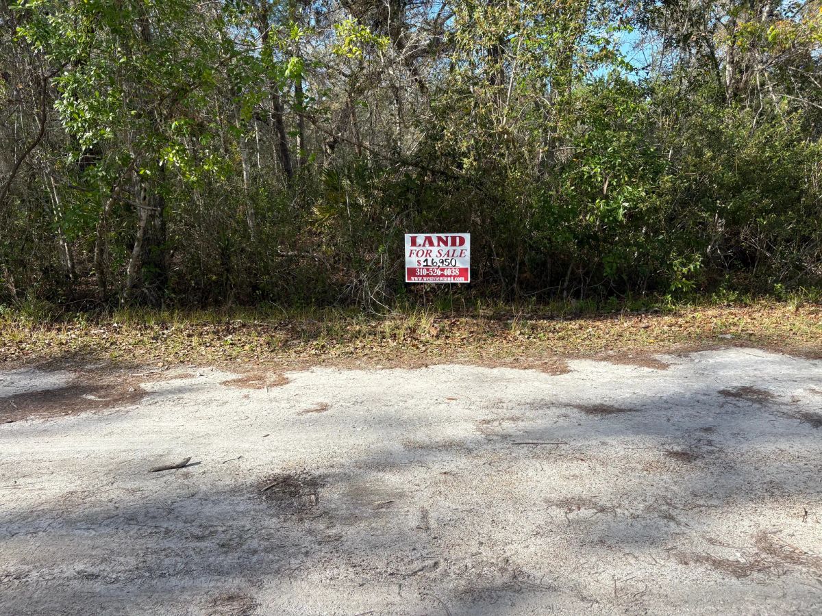 Decorative background for Level Vacant Agricultural Residential Lot in New Port Richey, FL image 8