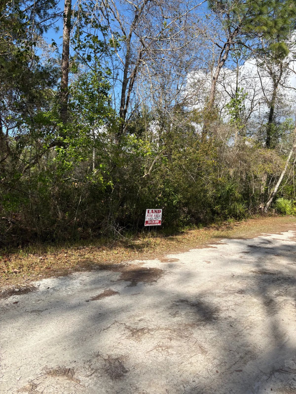 Decorative background for Level Vacant Agricultural Residential Lot in New Port Richey, FL image 9