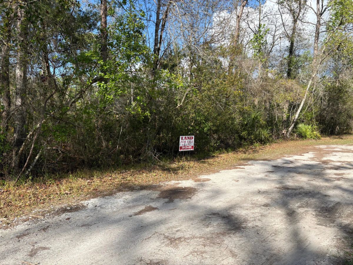 Decorative background for Level Vacant Agricultural Residential Lot in New Port Richey, FL image 10