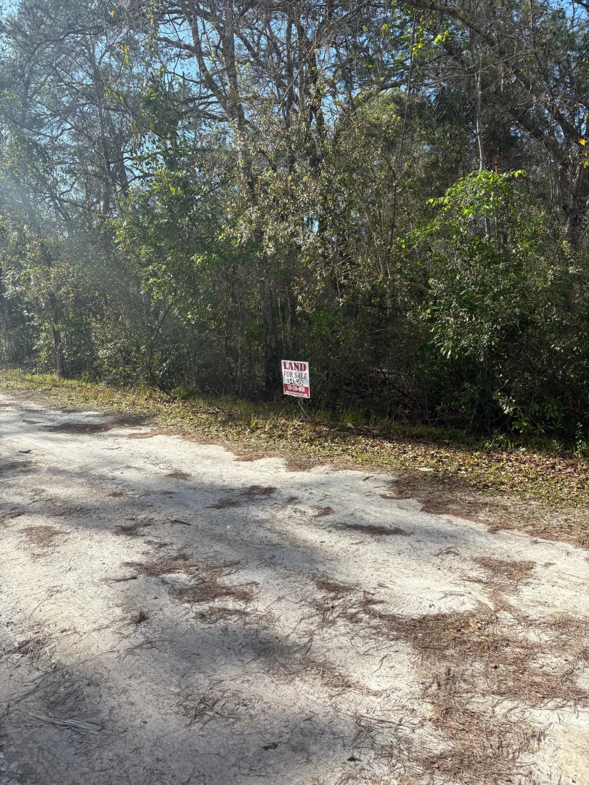 Decorative background for Level Vacant Agricultural Residential Lot in New Port Richey, FL image 11