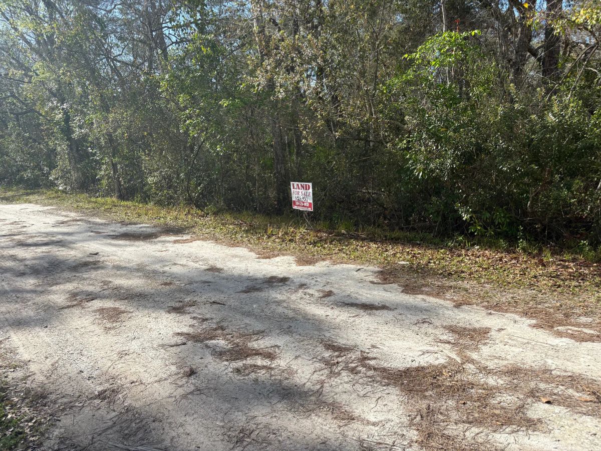 Decorative background for Level Vacant Agricultural Residential Lot in New Port Richey, FL image 12
