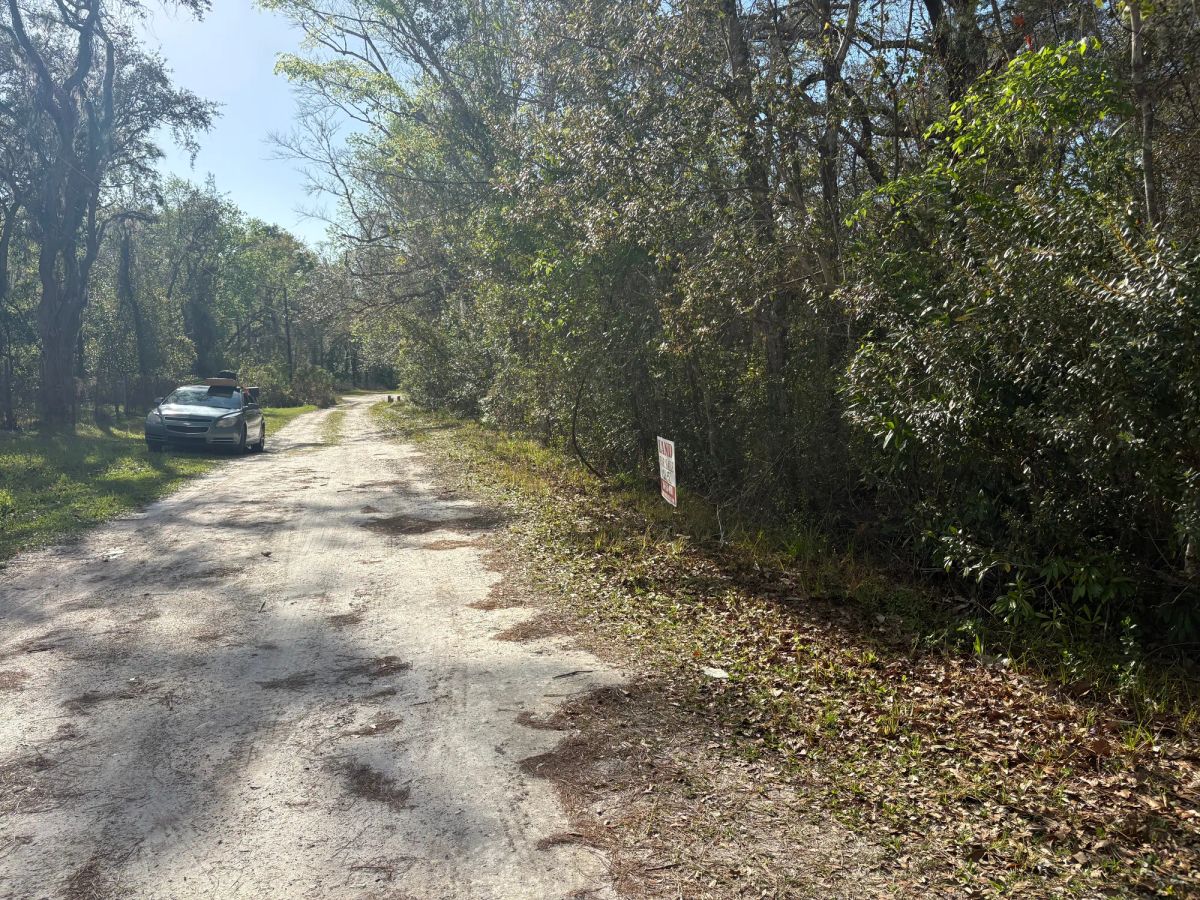 Decorative background for Level Vacant Agricultural Residential Lot in New Port Richey, FL image 13