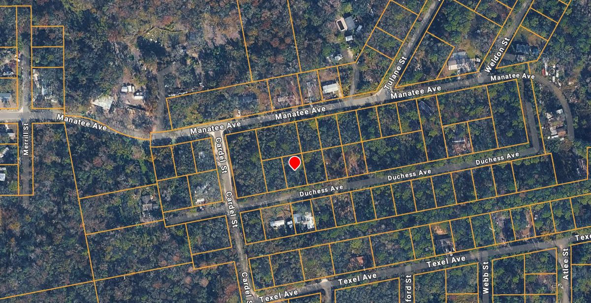 Decorative background for Level Vacant Agricultural Residential Lot in New Port Richey, FL image 15