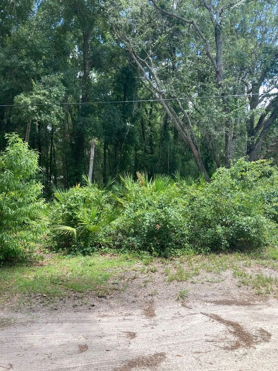 Decorative background for Undeveloped Corner Lot in Hudson, FL image 5
