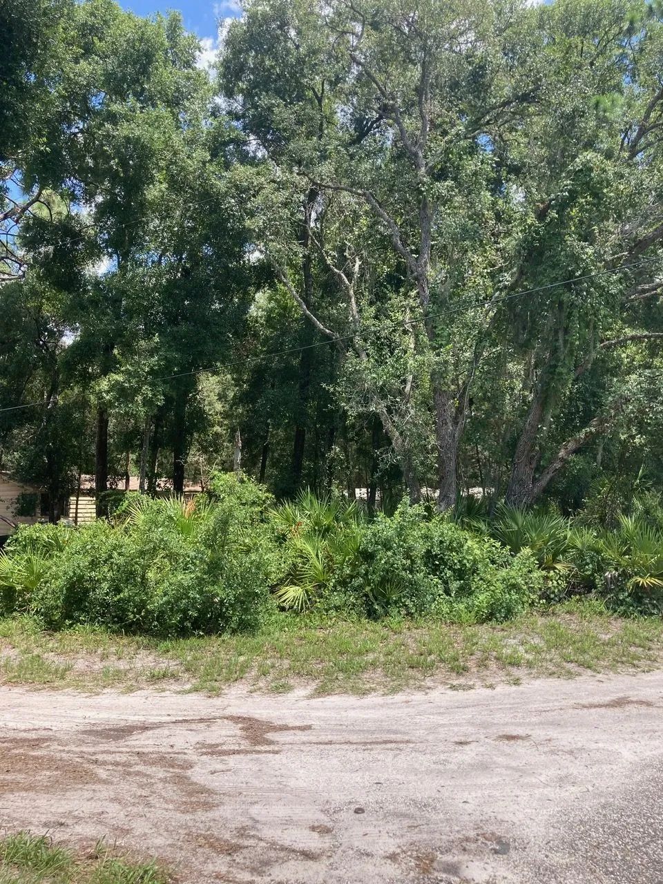 Decorative background for Undeveloped Corner Lot in Hudson, FL image 6