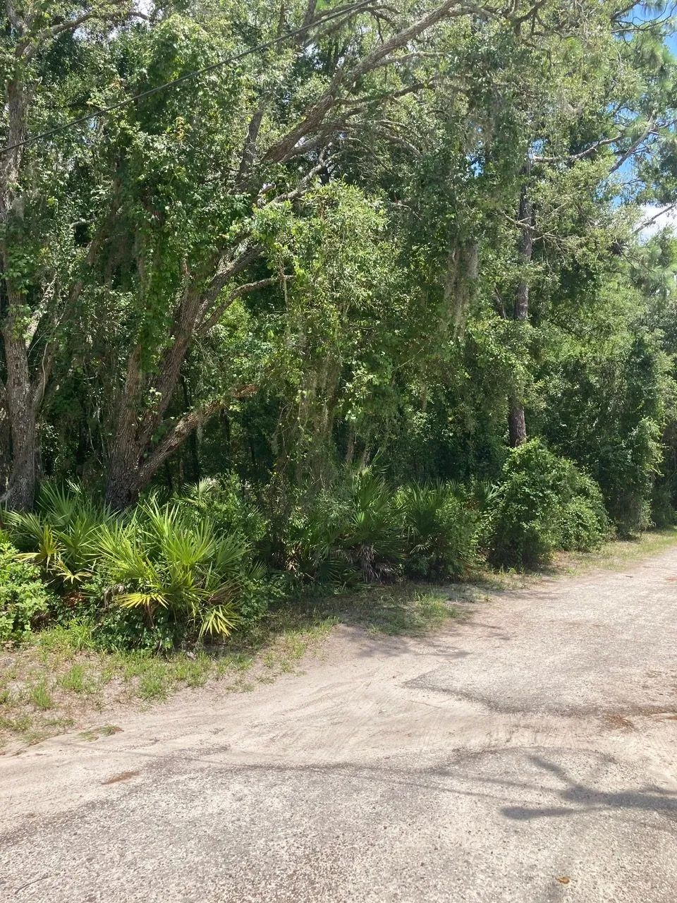 Decorative background for Undeveloped Corner Lot in Hudson, FL image 7
