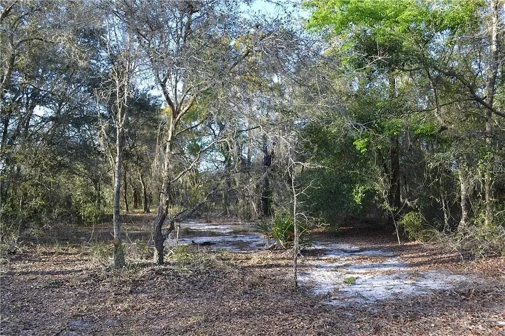Decorative background for Undeveloped Corner Lot in Hudson, FL image 9