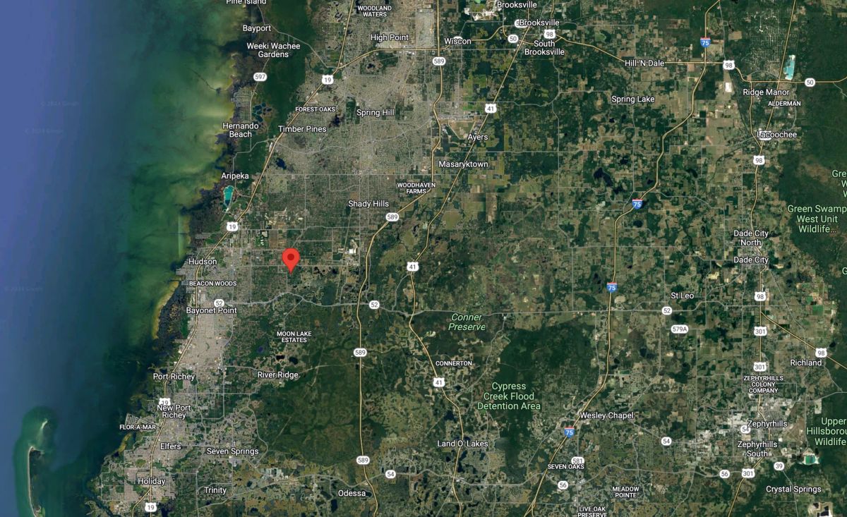 Decorative background for Undeveloped Corner Lot in Hudson, FL image 10