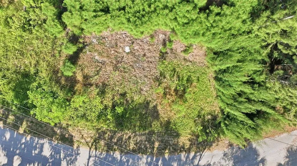Decorative background for Waterfront Corner Residential Lot in Hudson, FL image 6