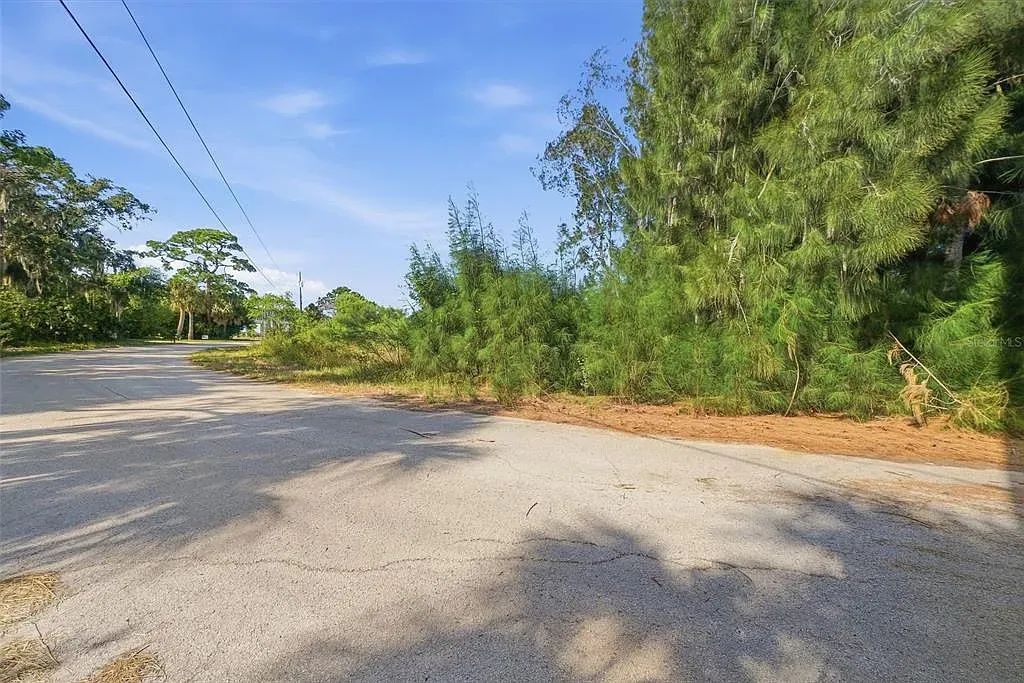 Decorative background for Waterfront Corner Residential Lot in Hudson, FL image 13