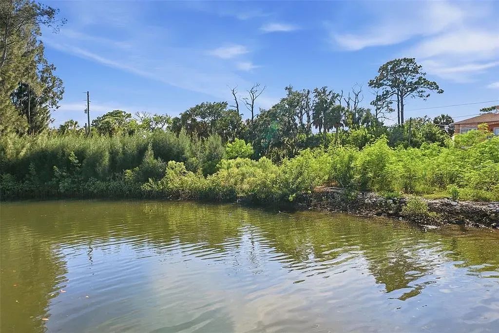 Decorative background for Waterfront Corner Residential Lot in Hudson, FL image 22