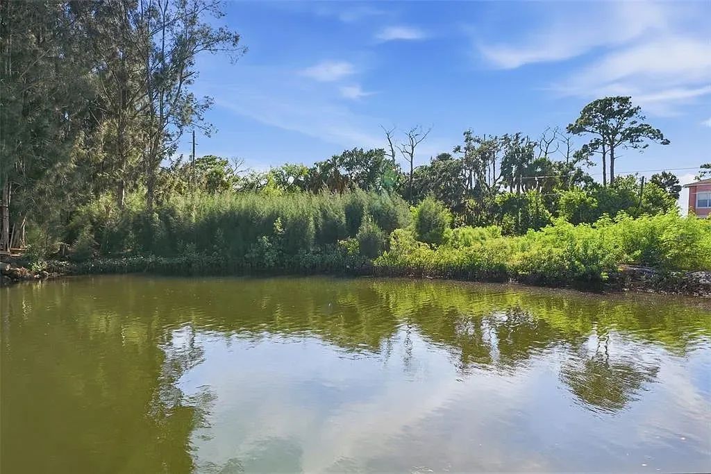 Decorative background for Waterfront Corner Residential Lot in Hudson, FL image 23