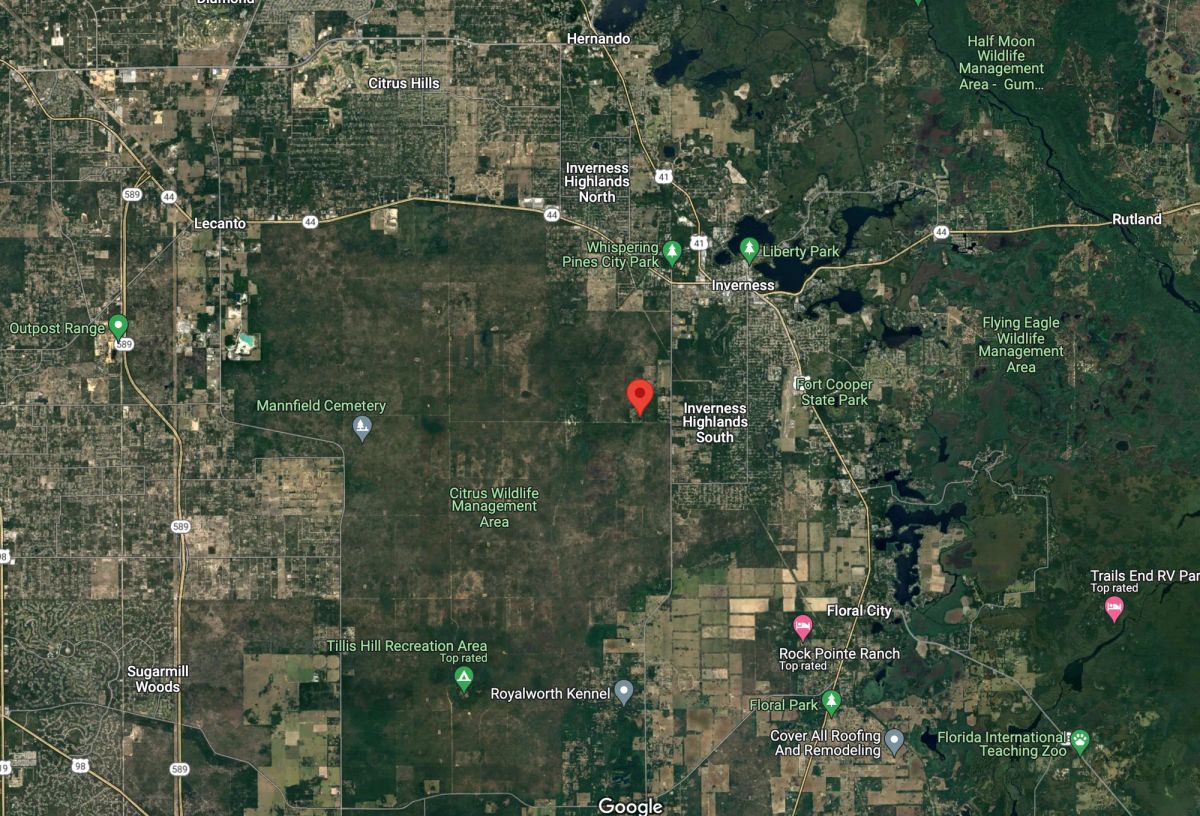 Undeveloped, Residential Property in Inverness, FL - Image 3
