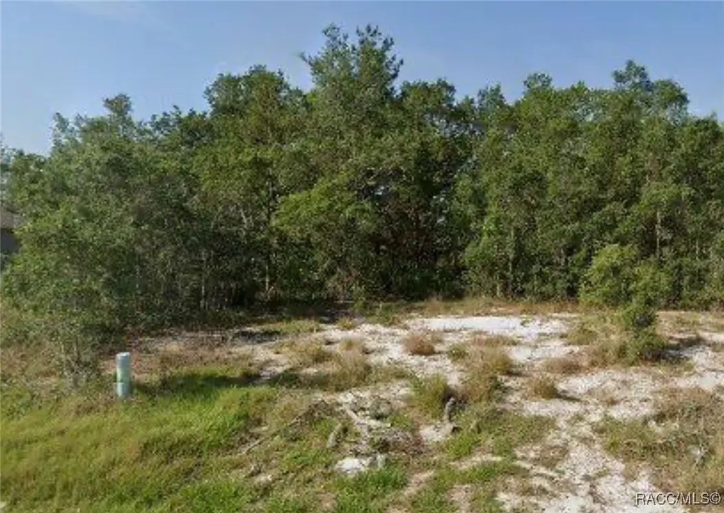 Vacant Lot in Poinciana, FL