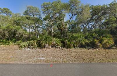 Buildable 10,000 Sq Ft. Residential Property In Port Charlotte, FL