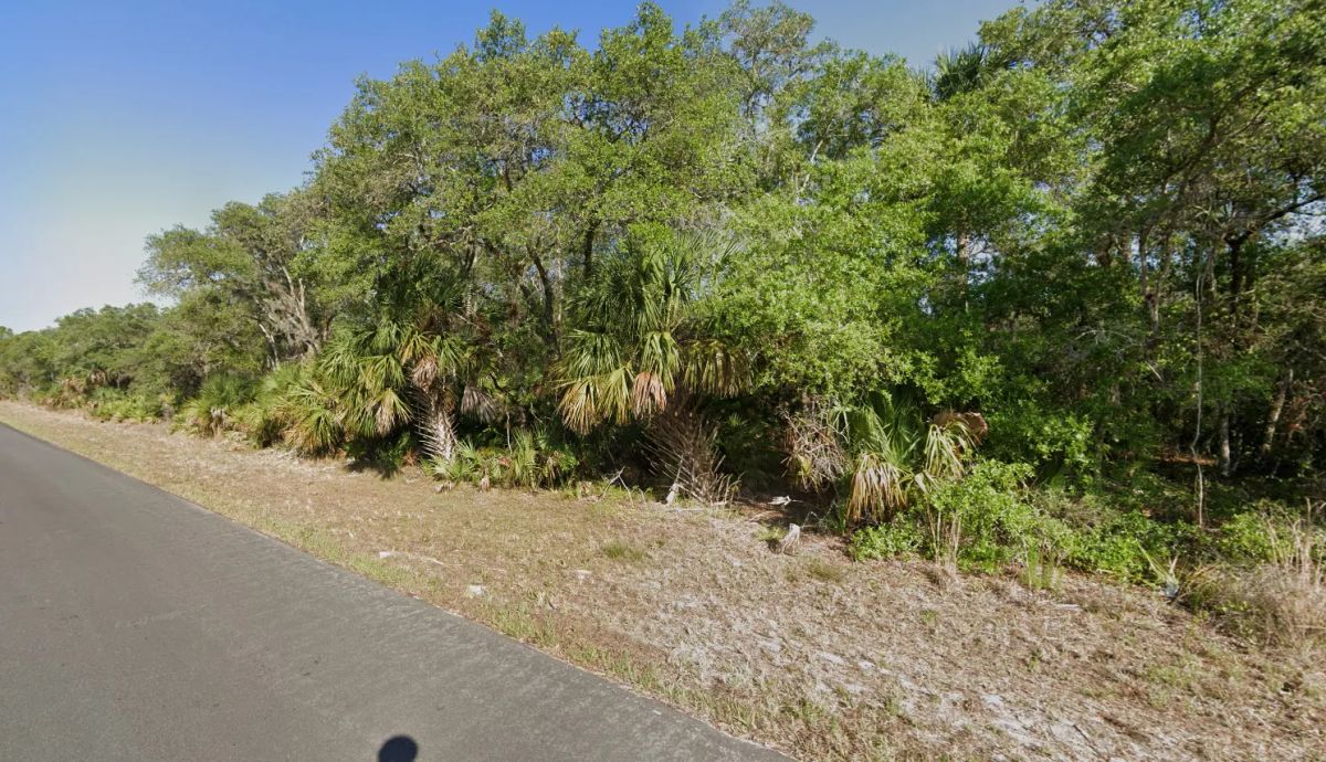 Buildable 10,000 Sq Ft. Residential Property In Port Charlotte, FL - Image 2