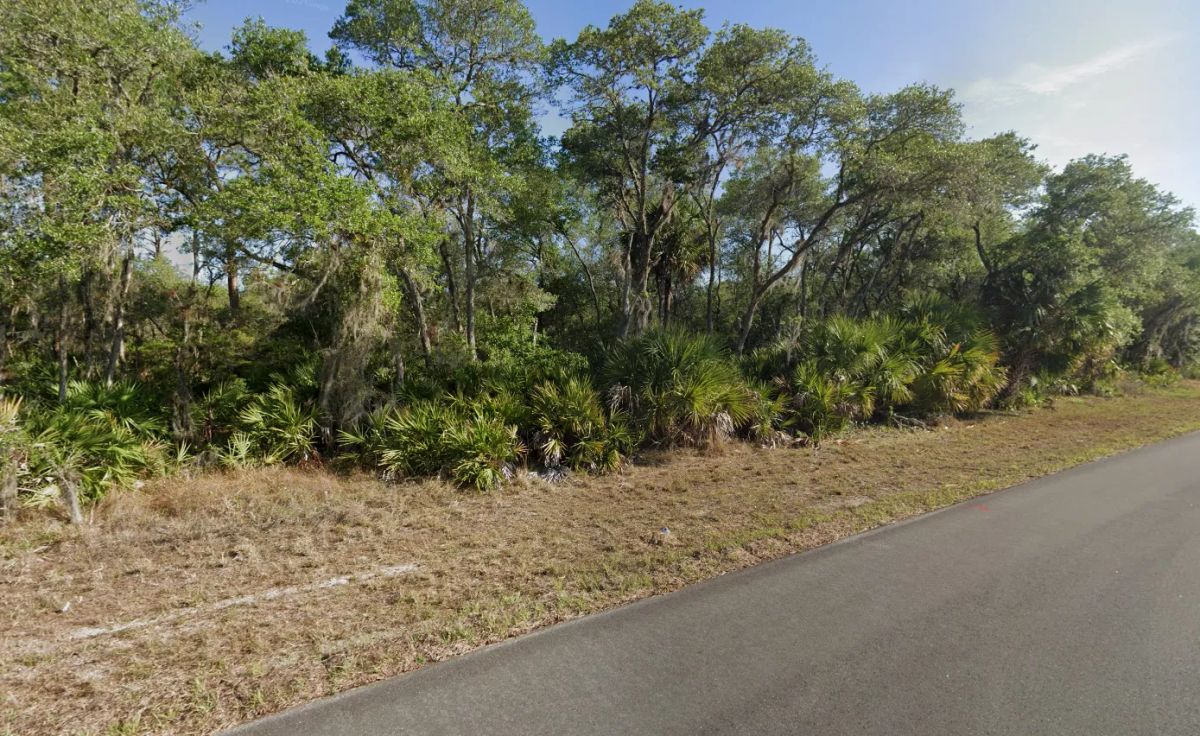 Buildable 10,000 Sq Ft. Residential Property In Port Charlotte, FL - Image 3