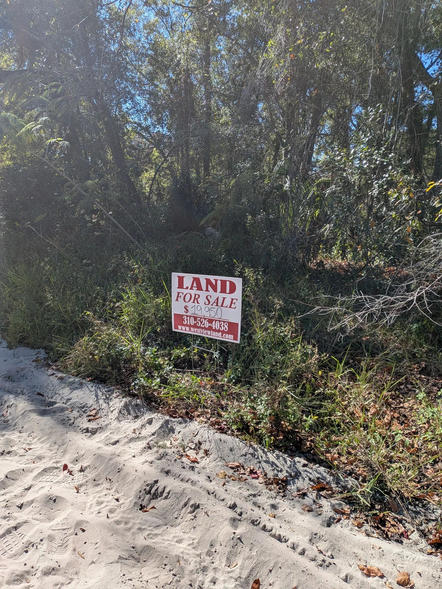 Mixed Residential Vacant Lot Near Lake Weir in Summerfield, FL