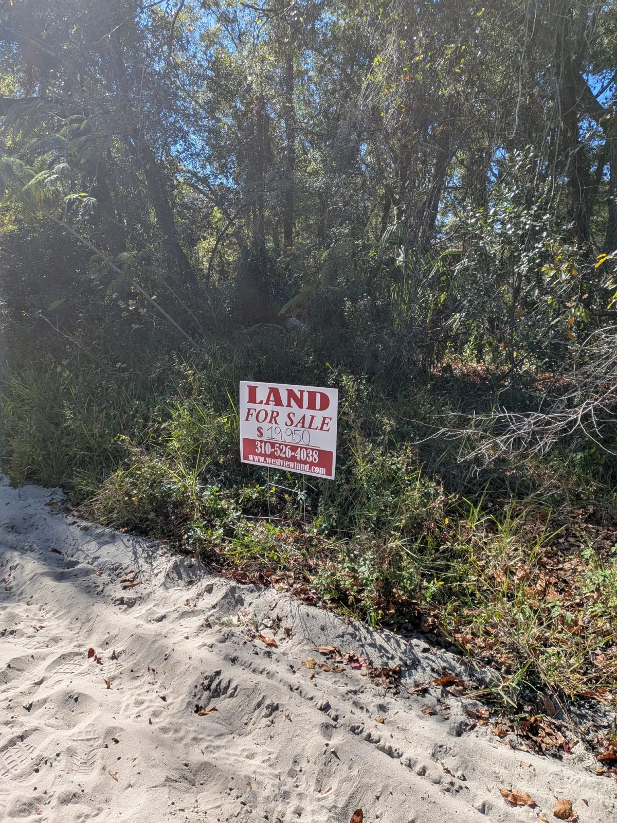 Mixed Residential Vacant Lot Near Lake Weir in Summerfield, FL - Main image