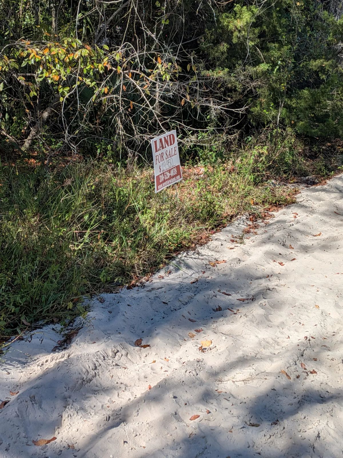 Decorative background for Mixed Residential Vacant Lot Near Lake Weir in Summerfield, FL image 5