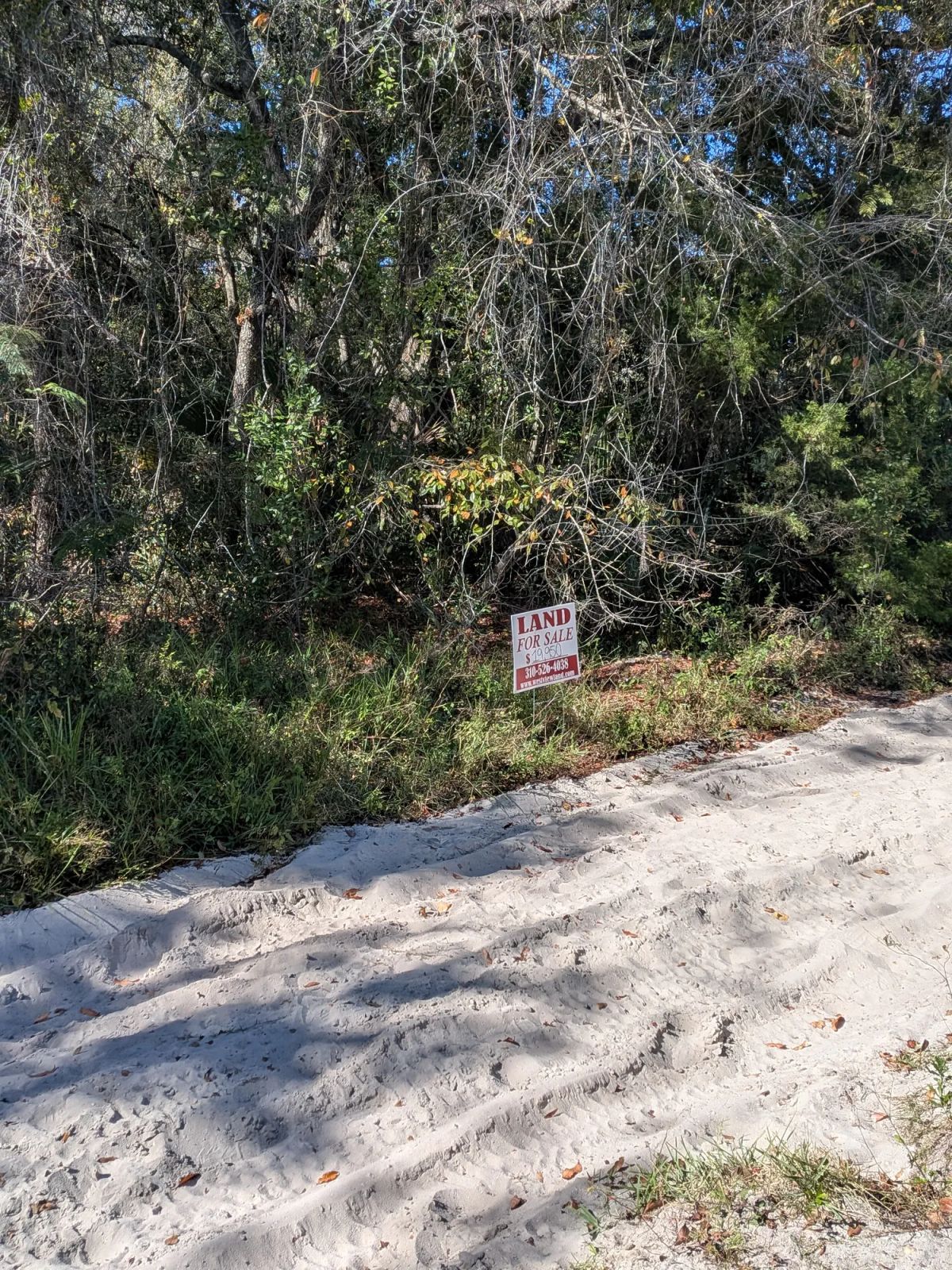 Decorative background for Mixed Residential Vacant Lot Near Lake Weir in Summerfield, FL image 6