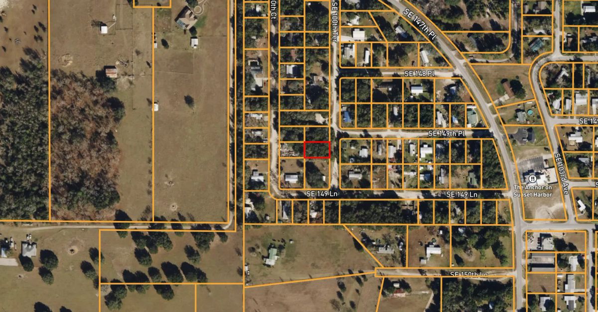 Decorative background for Mixed Residential Vacant Lot Near Lake Weir in Summerfield, FL image 7