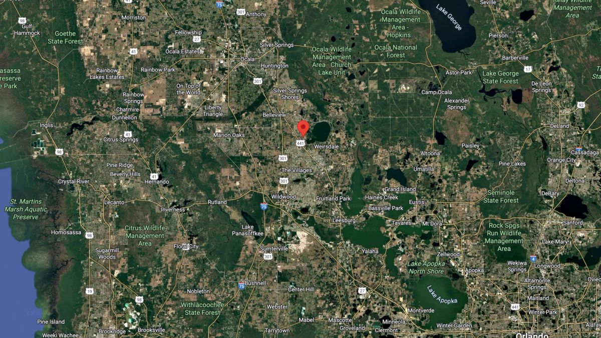 Decorative background for Mixed Residential Vacant Lot Near Lake Weir in Summerfield, FL image 8