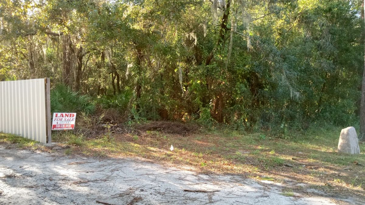Vacant Half-Acre in a Cul de Sac in Crystal River, FL - Image 2