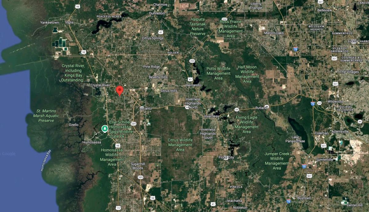 Decorative background for Vacant Half-Acre in a Cul de Sac in Crystal River, FL image 5
