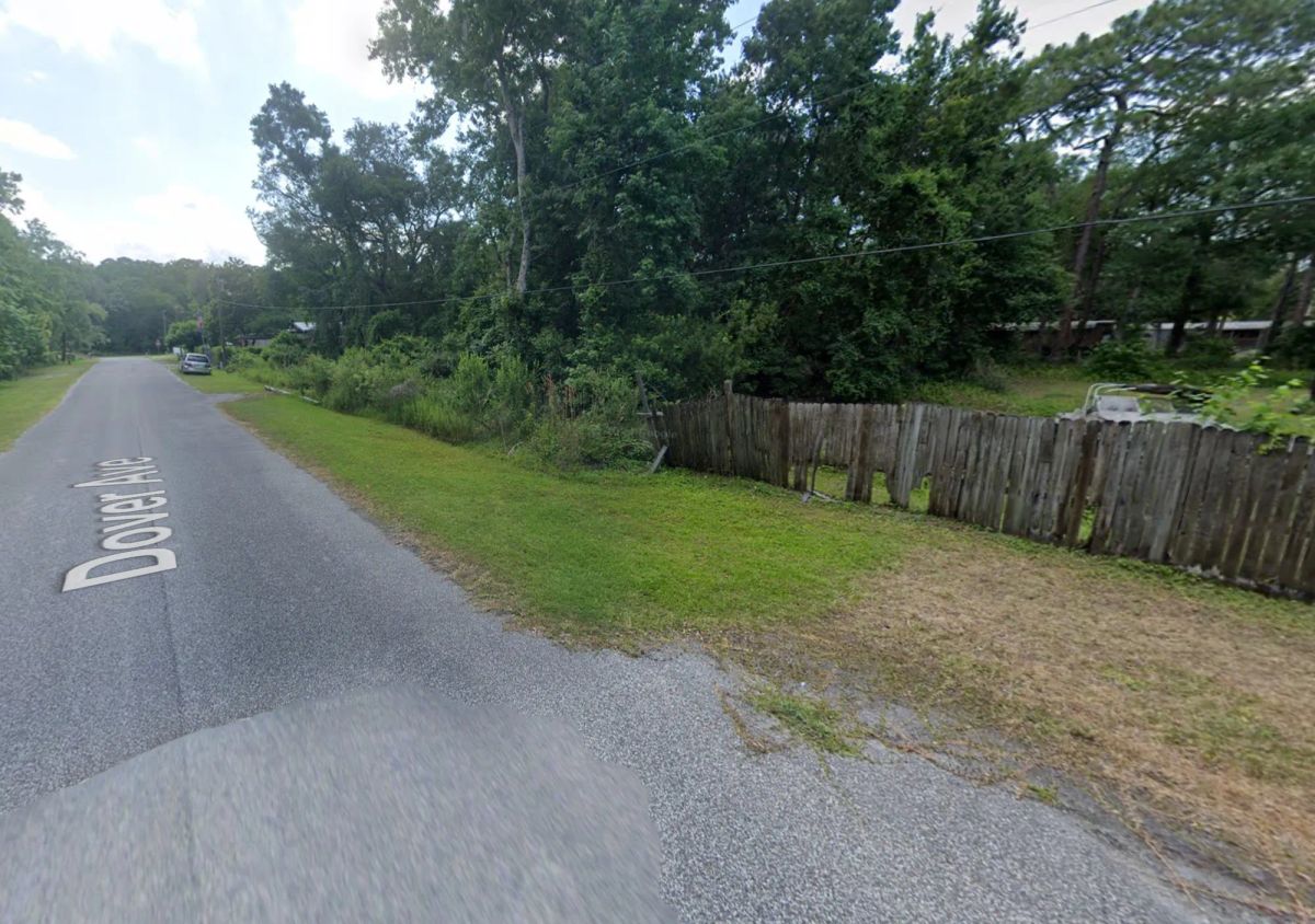 Level, Agricultural-Residential lot in New Port Richey - Image 2