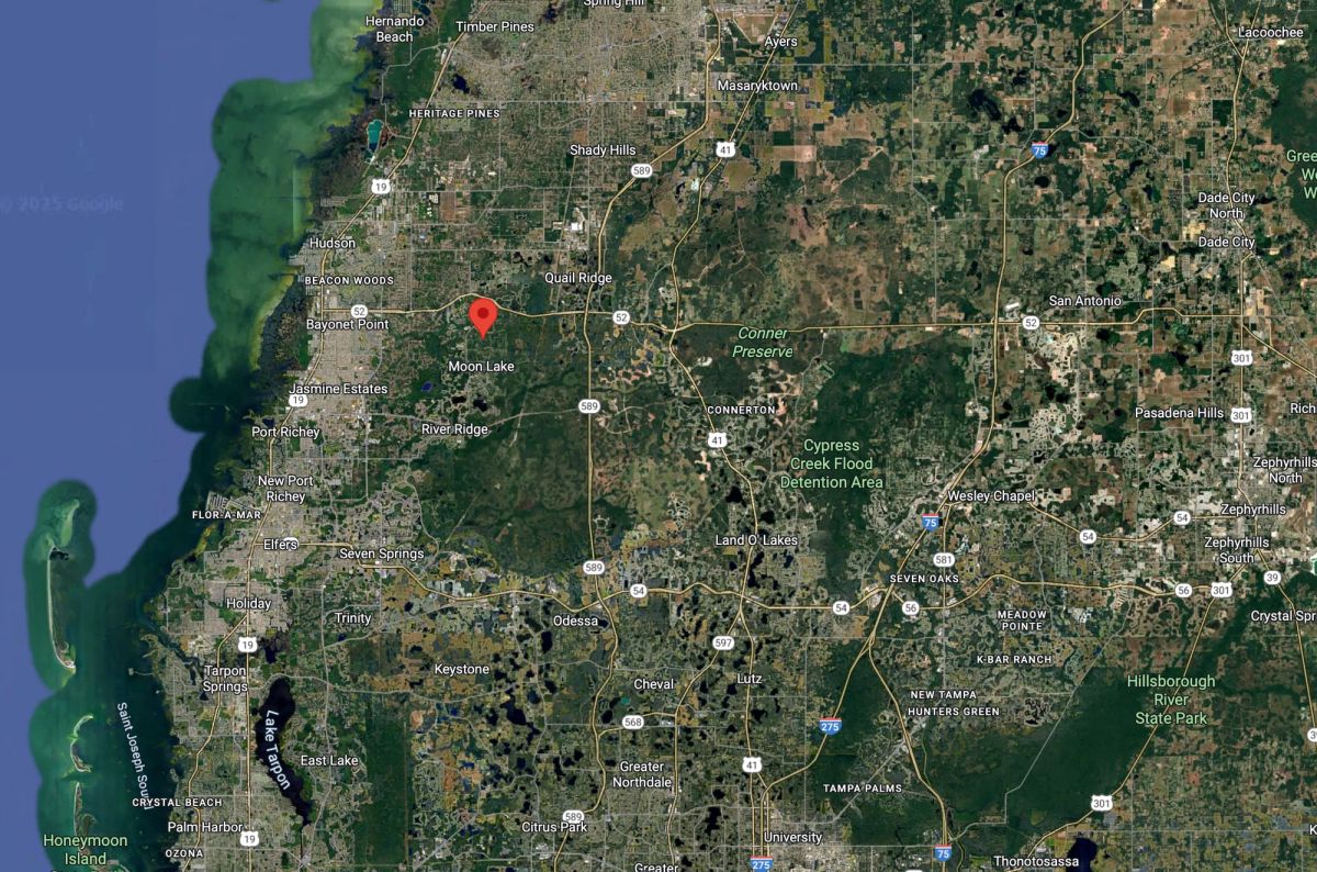 Level, Agricultural-Residential lot in New Port Richey - Image 3